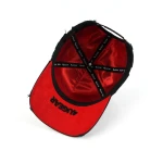 Streetwear 5-Panel Baseball Cap with 3D Embroidery and Applique Embroidery - View 12